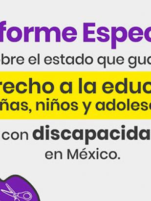Informe Especial sobre el estado que guarda el derecho a la educación de niñas, niños y adolescentes con discapacidad en México.