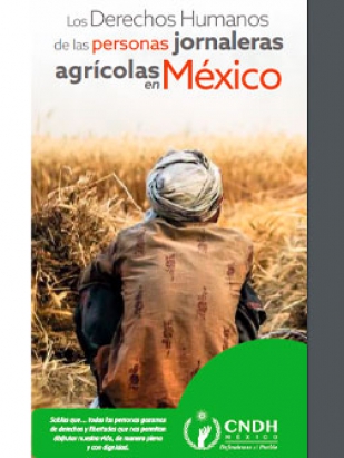 Los derechos humanos de las personas jornaleras agrícolas en México