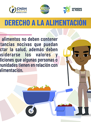 Derecho a la Alimentación