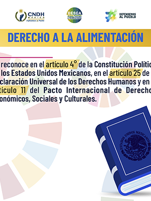 Derecho a la Alimentación