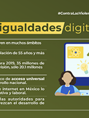 Desigualdades digitales