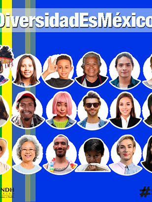 Igualdad y Diversidad