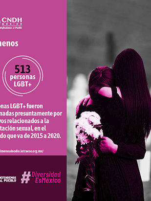 LGBTQ+ Igualdad y Diversidad