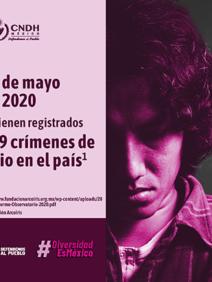 LGBTQ+ Igualdad y Diversidad