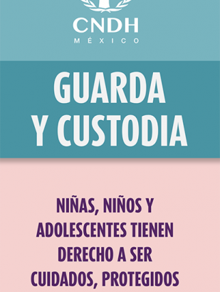 Guarda y Custodia. Niñas, niños y adolescentes tienen derecho a ser cuidados, protegidos y a ver satisfechas sus necesidades