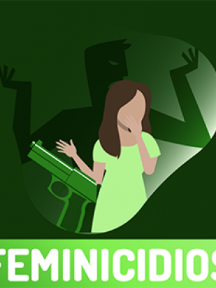 Concepto de Feminicidios 