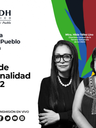 Defendemos al Pueblo: Acción de inconstitucionalidad 98/2022