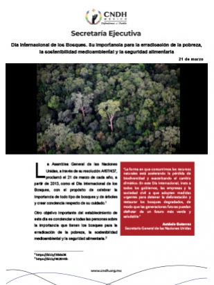 Día Internacional de los Bosques. Su importancia para la erradicación de la pobreza, la sostenibilidad medioambiental y la seguridad alimentaria