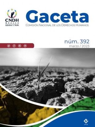 Gaceta, número 392 (correspondiente a marzo de 2023)