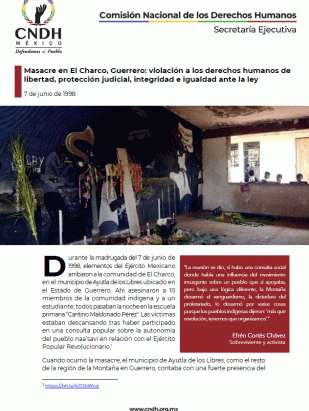 Masacre en El Charco, Guerrero: violación a los derechos humanos de libertad, protección judicial, integridad e igualdad ante la ley