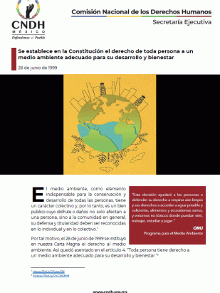 Se establece en la Constitución el derecho de toda persona a un medio ambiente adecuado para su desarrollo y bienestar