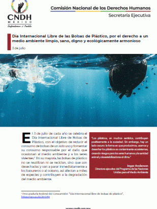 Día Internacional Libre de las Bolsas de Plástico, por el derecho a un medio ambiente limpio, sano, digno y ecológicamente armonioso