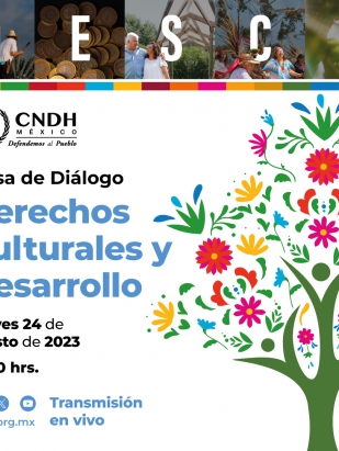Mesa de diálogo: Derechos Culturales y Desarrollo.