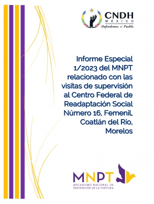 Informe Especial 1/2023 del MNPT relacionado con las visitas de supervisión al Centro Federal de Readaptación Social Número 16, Femenil, Coatlán del Río, Morelos