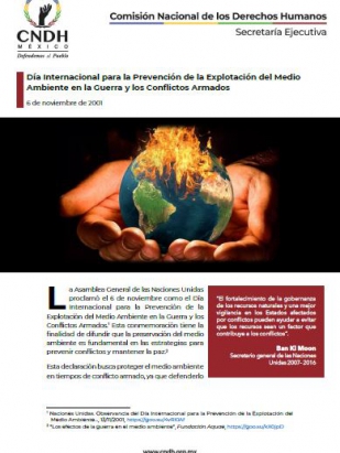 ía Internacional para la Prevención de la Explotación del Medio Ambiente en la Guerra y los Conflictos Armados