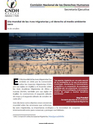 Día Mundial de las Aves Migratorias y el derecho al medio ambiente sano