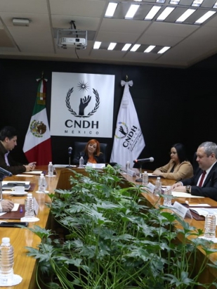 CNDH y Secretaría de Bienestar Social de Tamaulipas pondrán en marcha actividades educativas y de capacitación en DDHH