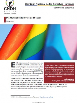 Día Mundial de la Diversidad Sexual