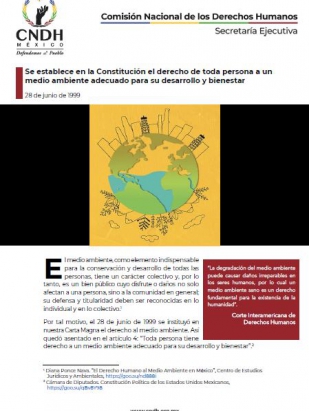Se establece en la Constitución el derecho de toda persona a un medio ambiente adecuado para su desarrollo y bienestar
