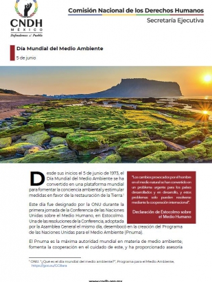 Día Mundial del Medio Ambiente