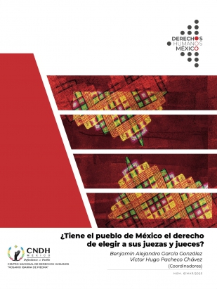 Derechos Humanos México, 2025, núm. 6