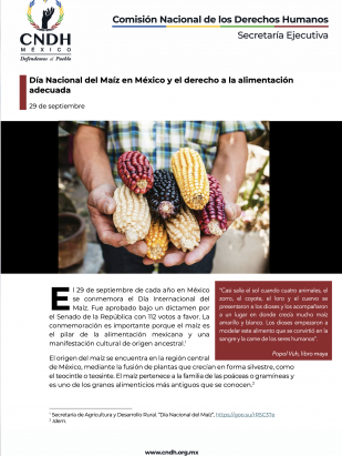 Día Nacional del Maíz en México y el derecho a la alimentación adecuada