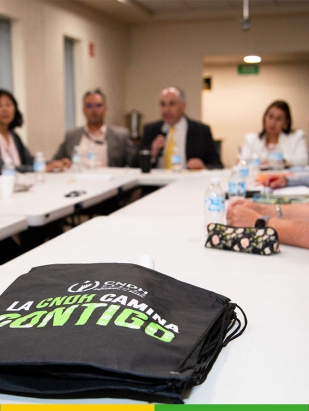 CNDH sostiene reunión con organizaciones civiles para fortalecer la atención de personas en contexto de movilidad 