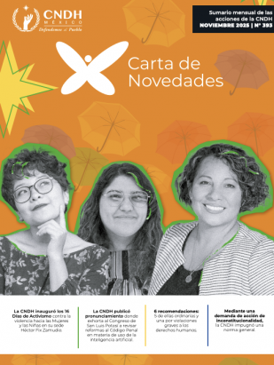 Carta de Novedades 393