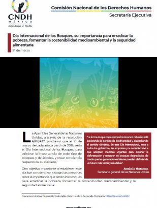 Día Internacional de los Bosques, su importancia para erradicar la pobreza, fomentar la sostenibilidad medioambiental y la seguridad alimentaria
