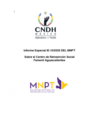 Informe Especial IE-10/2025