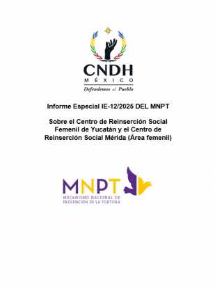 Informe Especial IE-12/2025