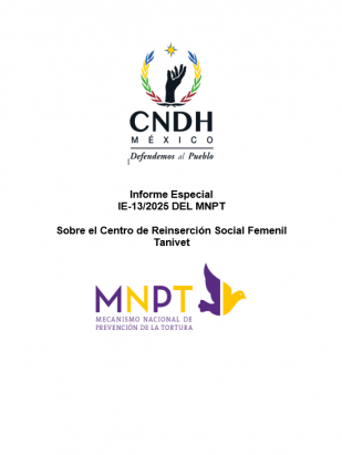 Informe Especial IE-13/2025