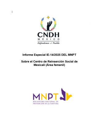 Informe Especial IE-14/2025.