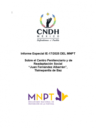 Informe Especial IE-17/2025