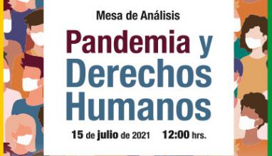 Mesa de Análisis Internacional Pandemia y Derechos Humanos