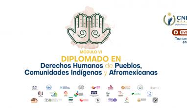 Módulo VII del Diplomado en Derechos Humanos de los Pueblos Comunidades Indígenas y Afromexicanas