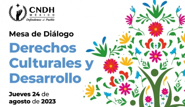 Mesa de diálogo: Derechos Culturales y Desarrollo.