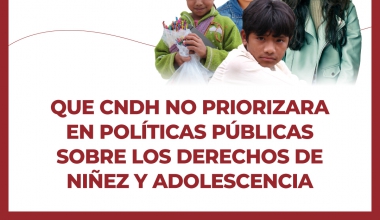 Que CNDH no priorizara en políticas públicas sobre los derechos de niñez y adolescencia